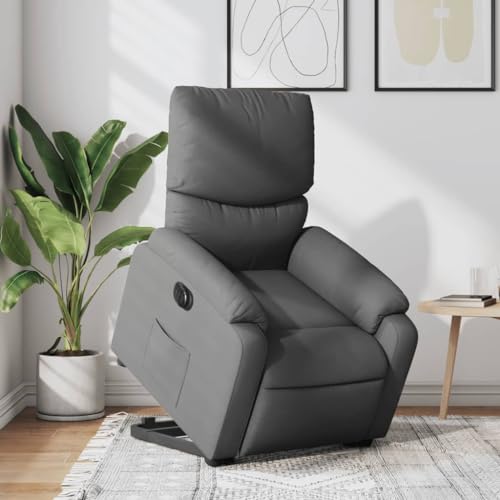 HOMEELIKE Relaxsessel mit Aufstehhilfe Elektrisch Dunkelgrau Stoff HOMEELIKE Relaxsessel mit Aufstehhilfe Elektrisch Dunkelgrau Stoff von HOMEELIKE