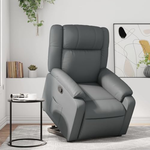 HOMEELIKE Relaxsessel mit Aufstehhilfe Grau Kunstleder HOMEELIKE Relaxsessel mit Aufstehhilfe Grau Kunstleder von HOMEELIKE