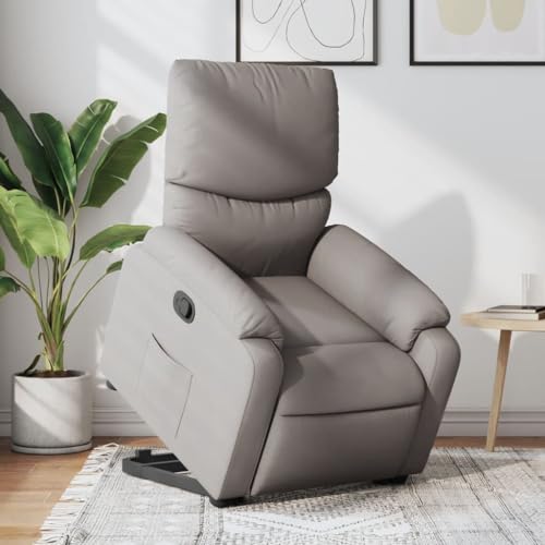 HOMEELIKE Relaxsessel mit Aufstehhilfe Taupe Stoff von HOMEELIKE