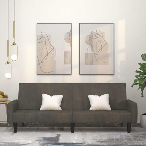 HOMEELIKE Schlafsofa 2-Sitzer Dunkelgrau Samt von HOMEELIKE