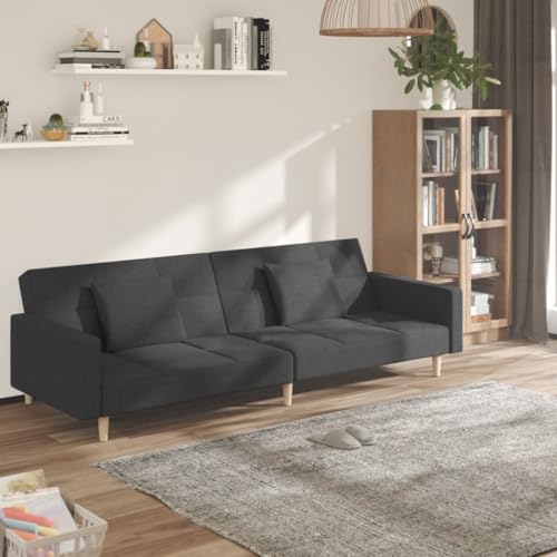 HOMEELIKE Schlafsofa 2-Sitzer mit 2 Kissen Dunkelgrau Stoff HOMEELIKE Schlafsofa 2-Sitzer mit 2 Kissen Dunkelgrau Stoff von HOMEELIKE