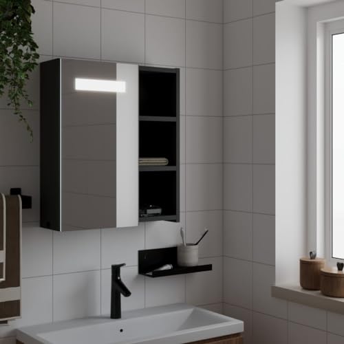 HOMEELIKE Spiegelschrank mit LED-Beleuchtung Schwarz 45x13x52 cm von HOMEELIKE
