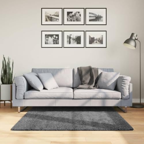 HOMEELIKE Teppich Oviedo Kurzflor Anthrazit 120x120 cm von HOMEELIKE