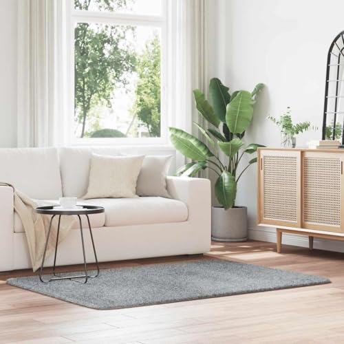 HOMEELIKE Teppich Shaggy Hochflor NAVARRA Hellgrau 120x170 cm Polyester von HOMEELIKE