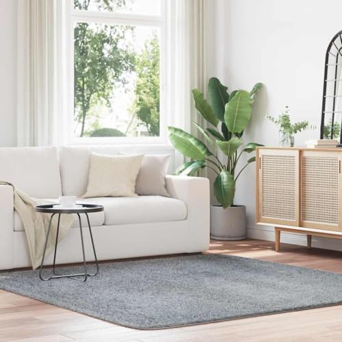 HOMEELIKE Teppich Shaggy Hochflor NAVARRA Hellgrau 200x200 cm Polyester von HOMEELIKE
