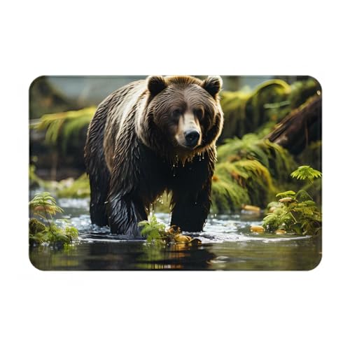 HOMEFC Brown Bear Pounce Fußmatte für drinnen und draußen, Türmatten für Terrasse, Eingangsmatten, Willkommensmatten, 40,6 x 61 cm, rutschfeste Outdoor-Fußmatten, leicht zu reinigen von HOMEFC
