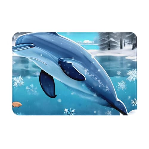 HOMEFC Fußmatte für den Innen- und Außenbereich, Motiv: Winter der Delfin, für Innen- und Außenbereich, 40,6 x 61 cm, rutschfeste Outdoor-Fußmatten, leicht zu reinigen von HOMEFC