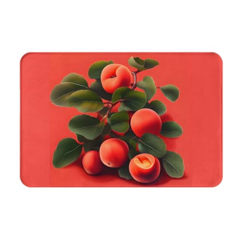 HOMEFC Fußmatte für drinnen und draußen, rutschfest, leicht zu reinigen, 40,6 x 61 cm, Rot Aprikose HOMEFC Fußmatte für drinnen und draußen, rutschfest, leicht zu reinigen, 40,6 x 61 cm, Rot Aprikose von HOMEFC