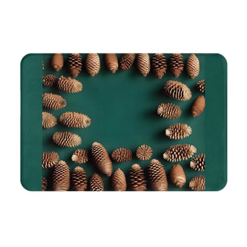 HOMEFC Fußmatte mit Tannenzapfen, für Innen- und Außenbereich, 40,6 x 61 cm, rutschfest, leicht zu reinigen HOMEFC Fußmatte mit Tannenzapfen, für Innen- und Außenbereich, 40,6 x 61 cm, rutschfest, leicht zu reinigen von HOMEFC