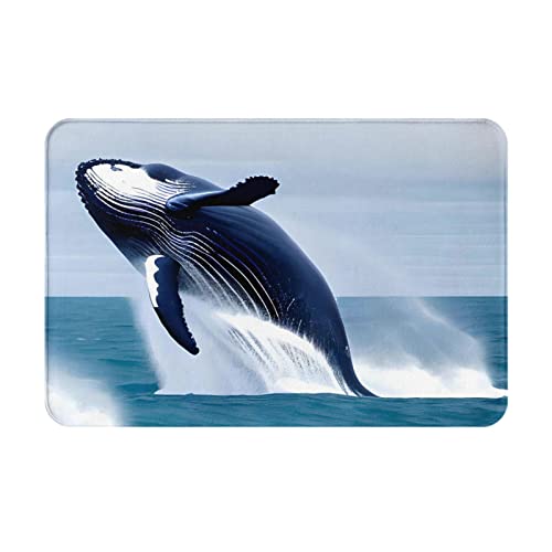 HOMEFC Fußmatte mit Whales at See, für drinnen und draußen, Terrassen-Eingangsmatten, Willkommensmatten, 40,6 x 61 cm, rutschfeste Outdoor-Fußmatten, leicht zu reinigen HOMEFC Fußmatte mit Whales at See, für drinnen und draußen, Terrassen-Eingangsmatten, Willkommensmatten, 40,6 x 61 cm, rutschfeste Outdoor-Fußmatten, leicht zu reinigen von HOMEFC
