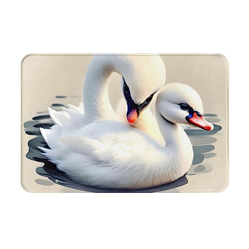 HOMEFC Fußmatte mit niedlichem Schwan, für drinnen und draußen, für den Innen- und Außenbereich, 40,6 x 61 cm, rutschfeste Outdoor-Fußmatten, leicht zu reinigen von HOMEFC