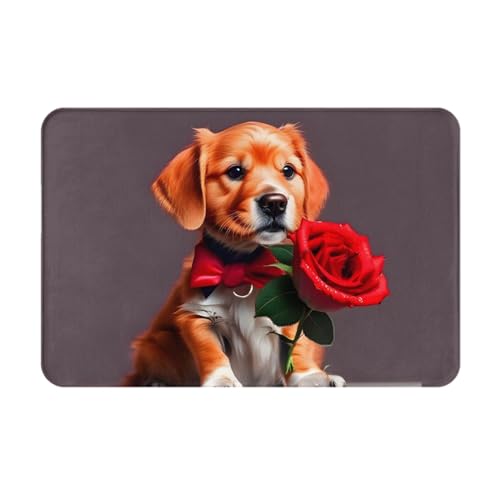 HOMEFC Gentleman-Like Hunde-Fußmatte für drinnen und draußen, Türmatten, Terrassen-Eingangsmatten, Willkommens-Matten, 40,6 x 61 cm, rutschfeste Outdoor-Fußmatten, leicht zu reinigen von HOMEFC