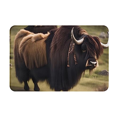 HOMEFC Mighty Highland Yak Fußmatte für drinnen und draußen, Türmatten für den Innen- und Außenbereich, 40,6 x 61 cm, rutschfeste Outdoor-Fußmatten, leicht zu reinigen HOMEFC Mighty Highland Yak Fußmatte für drinnen und draußen, Türmatten für den Innen- und Außenbereich, 40,6 x 61 cm, rutschfeste Outdoor-Fußmatten, leicht zu reinigen von HOMEFC