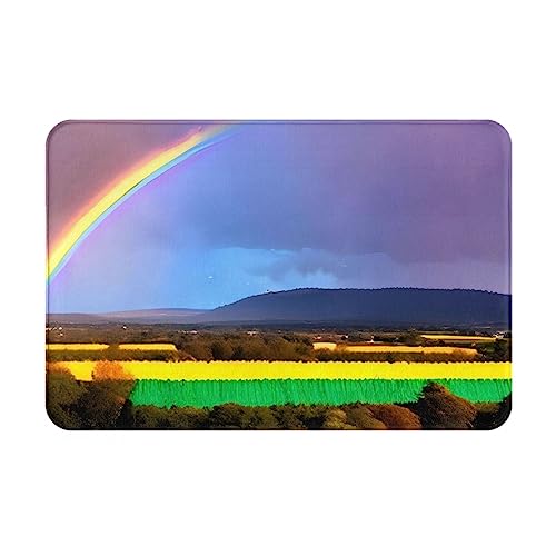 HOMEFC Regenbogen-Fußmatte für den Innen- und Außenbereich, 40,6 x 61 cm, rutschfest, leicht zu reinigen von HOMEFC