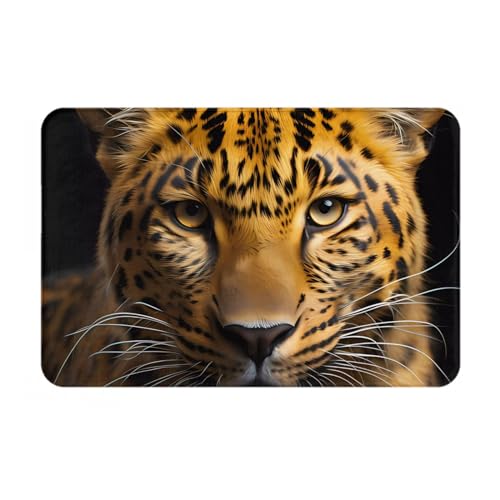 HOMEFC The Deep-Eyed Leopard Fußmatte für drinnen und draußen, Türmatten für den Innenbereich, 40,6 x 61 cm, rutschfeste Outdoor-Fußmatten, leicht zu reinigen von HOMEFC
