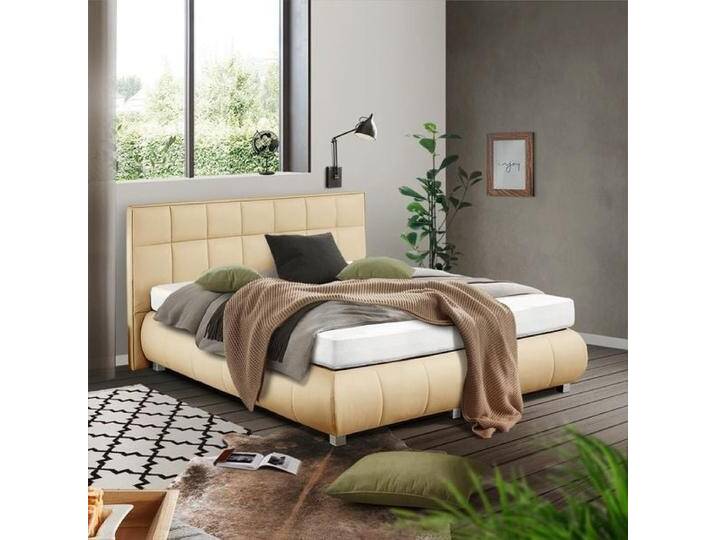 HOMELIV. Boxspringbett Seattle Kunstleder 200x200cm Bonellfederkern-Box Härtegrad: H2 kolonial HOMELIV. Boxspringbett Seattle Kunstleder 200x200cm Bonellfederkern-Box Härtegrad: H2 kolonial von HOMELIV