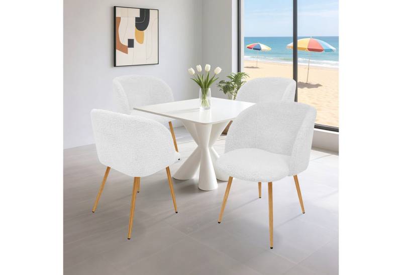 HOMELUX Polsterstuhl Esszimmerstuhl 2/4 Set, Küchenstuhl mit Armlehnen & Metallbeine (Sessel modern für Wohnzimmer, Esszimmer, Schminktisch, 4 St), Teddy Stoff von HOMELUX