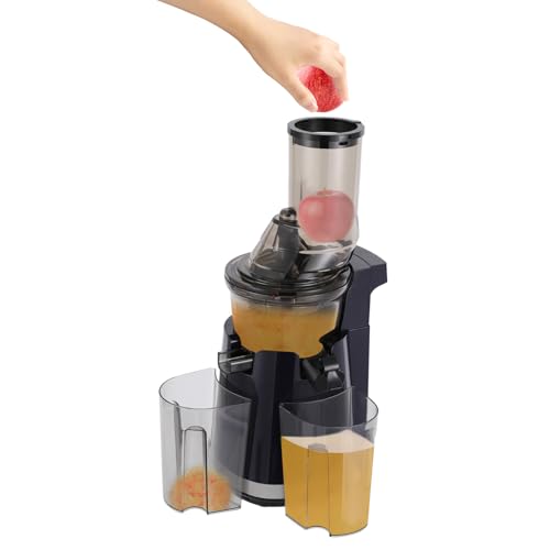 Elektrischer Entsafter 250W Fruchtsaftpresse 58RPM Slow Juicer Entsafter 229x201x497mm Kompakt-Entsafter Elektrisch Masticating mit 2x 800ml Tassen Juicer Machine für Ganze Gemüse und Obst von HOMEONENIC