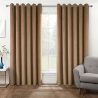 Homescapes - 2er-Set Samtvorhänge beige b 168 x l 229 cm - Verdunkelungsvorhänge mit Thermo-Funktion von HOMESCAPES