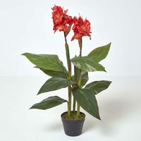 Homescapes - Blumenrohr Kunstpflanze im Topf - Rot - 90 cm - Grün, Rot von HOMESCAPES