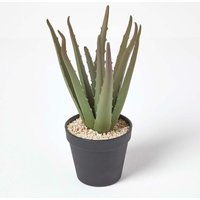 Homescapes - Klein Künstliche Echte Aloe Vera in schwarzem Topf, 30 cm hoch - Grün von HOMESCAPES