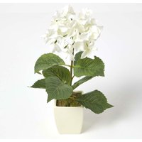 Homescapes - Künstliche Hortensien in weißem Topf, Creme - Creme von HOMESCAPES