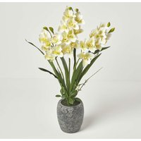 Homescapes - Künstliche weiß-grüne Orchidee im dunkelgrauen Zement-Topf, 82 cm - Weiß-Grün von HOMESCAPES