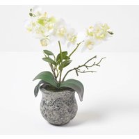 Künstliche weiß-grüne Phalaenopsis-Orchidee im dunklen Zement-Topf, 32 cm - Weiß-Grün - Homescapes von HOMESCAPES