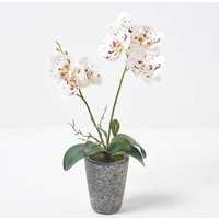 Künstliche weiße Phalaenopsis-Orchidee im grauen Zement-Topf, 46 cm - Weiß - Homescapes von HOMESCAPES