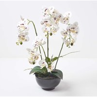 Homescapes - Künstliche weiße Phalaenopsis-Orchidee im schwarzen Keramik-Topf, 62 cm - Weiß von HOMESCAPES