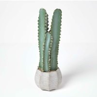 Homescapes - Künstlicher Kaktus Hylocereus in Topf aus zement, 49 cm hoch - Grün von HOMESCAPES