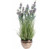 HOMESCAPES Kunstblumen Lavendel in brauner Topf, Lila, 66 cm hoch HOMESCAPES Kunstblumen Lavendel in brauner Topf, Lila, 66 cm hoch von HOMESCAPES