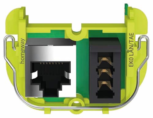 Homeway HW-EKOLT100S1 Kommunikationsmodul EKO LAN/TAE (100Mbit/s) von HOMEWAY
