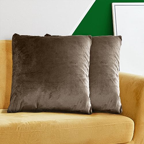 HOMEYA - 2 Kissenbezüge aus Samt 45 x 45 cm - Kissenbezüge 100% Polyester, extra weich, glänzend mit Reißverschluss, 2 Stück (braun) von HOMEYA