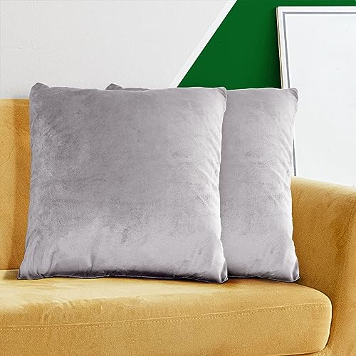 HOMEYA - 2 Kissenbezüge aus Samt 45 x 45 cm - Kissenbezüge 100% Polyester, extra weich, glänzend mit Reißverschluss, 2 Stück (hellgrau) von HOMEYA