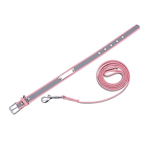 HOMOBABE 1satz Reflektierendes Haustier-Halsband Leine Für Kleine Und Mittelgroße Hunde Weiche Langlebige Materialien Für Nächtliche Teiliges Leine HOMOBABE 1satz Reflektierendes Haustier-Halsband Leine Für Kleine Und Mittelgroße Hunde Weiche Langlebige Materialien Für Nächtliche Teiliges Leine von HOMOBABE