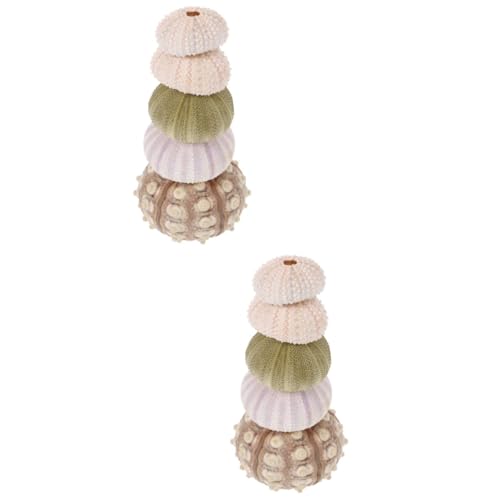HOMOBABE 10stücke Natürliche Seeigel Muscheln Als Luftpflanzen Halter Für Kreative Dekoration Im Aquarium Und Zuhause Einzigartige Bonsai Blumentöpfe Für Stilvolle Wohnräume HOMOBABE 10stücke Natürliche Seeigel Muscheln Als Luftpflanzen Halter Für Kreative Dekoration Im Aquarium Und Zuhause Einzigartige Bonsai Blumentöpfe Für Stilvolle Wohnräume von HOMOBABE