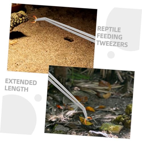 HOMOBABE 2 Stück Teiliges Fütterungszangen für Reptilien Gerade und Gebogen Stabile Terrarienpinzetten mit Bruchfester Konstruktion für Aquarium und Terrarium Langlebig und Praktisch von HOMOBABE