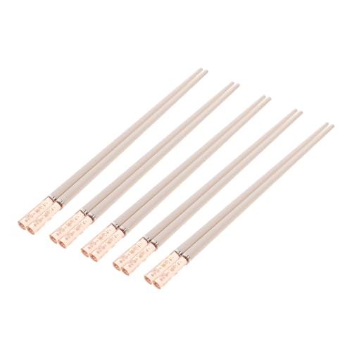 HOMOBABE 5 Paare Wiederverwendbare Alloy Essstäbchen Japanischer Stil Rutschfestes Design für Küche und Restaurant Geeignet für Erwachsene und Einfach zu Reinigen von HOMOBABE
