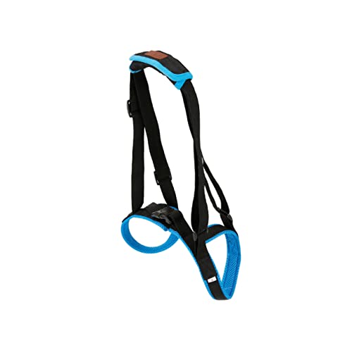 HOMOBABE Pet Support Belt Für Hunde Mit Hinterbeinschwäche Verstellbares Hilfs-Geschirr Für Ältere Und Verletzte Hunde Atmungsaktives Design Blau von HOMOBABE
