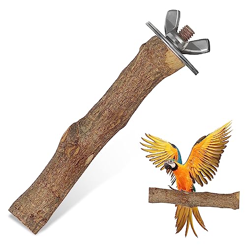 HOMOBABE Holz Vogel Sitzstange für Papageien und Sichere Plattform mit Natürlicher Rauer Oberfläche für Vogelkäfig Zubehör Vögel Beim und von HOMOBABE