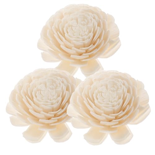 HOMOCONO Blumen Für Raumduft Getrocknete Blumen Trockenblumen Deko Aromatherapie Heimdekoration HOMOCONO Blumen Für Raumduft Getrocknete Blumen Trockenblumen Deko Aromatherapie Heimdekoration von HOMOCONO