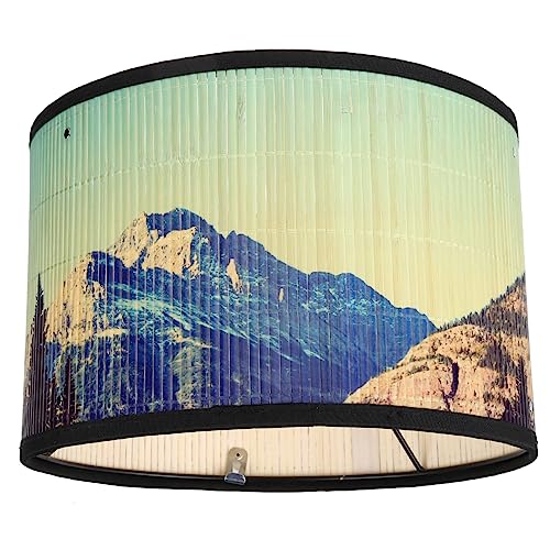 HOMOCONO Retro Deckenlampe Lampenschirm Hängelampe für Wohnräume Vielseitig Einsetzbar Leicht und Installieren für Sanfte Lichtatmosphäre von HOMOCONO