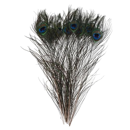 HOMSFOU 10 Stück Peacock Ornamente Pfau Handwerksfahnen Party Federschmuck Handwerkliche Hochzeit Federn zum Basteln Federn selber Machen Federn- für Vase einzigartige Federn von HOMSFOU