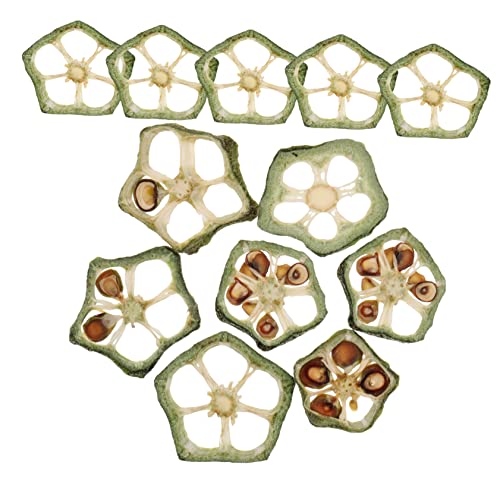 HOMSFOU 12 Stück Teiliges Getrocknete Okra Scheiben für DIY Bastelprojekte Leichte Pflegeleichte Dekorative Gemüsescheiben für Scrapbooking Nagelkunst Schmuckdesign und HOMSFOU 12 Stück Teiliges Getrocknete Okra Scheiben für DIY Bastelprojekte Leichte Pflegeleichte Dekorative Gemüsescheiben für Scrapbooking Nagelkunst Schmuckdesign und von HOMSFOU