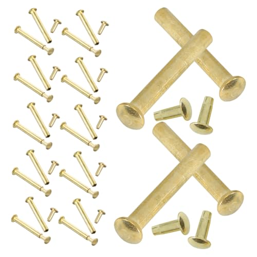 HOMSFOU 20 Sets Faltfächer Nagel Zubehör Muttern Faltfächer Reparatur Scharnier Nieten und Mutter Golden Edelstahl HOMSFOU 20 Sets Faltfächer Nagel Zubehör Muttern Faltfächer Reparatur Scharnier Nieten und Mutter Golden Edelstahl von HOMSFOU