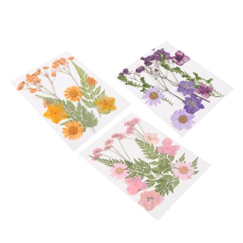 HOMSFOU 3 Satz Getrocknete Blumen für DIY Bastelprojekte Pflanzenmaterial für Lesezeichen Handy Dekoration Kerzen Harz und Vielfältige Anwendungsmöglichkeiten für Kreative HOMSFOU 3 Satz Getrocknete Blumen für DIY Bastelprojekte Pflanzenmaterial für Lesezeichen Handy Dekoration Kerzen Harz und Vielfältige Anwendungsmöglichkeiten für Kreative von HOMSFOU