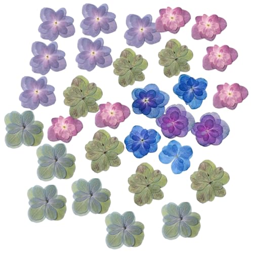 HOMSFOU 30 Stück Gepresste Trockenblumen Natürliche Echte Gepresste Hortensienblüten Mini-Bunte Handgefertigte Pflanzen Mit Blumenmuster Für Scrapbooking DIY Seife Handyhülle Kerze HOMSFOU 30 Stück Gepresste Trockenblumen Natürliche Echte Gepresste Hortensienblüten Mini-Bunte Handgefertigte Pflanzen Mit Blumenmuster Für Scrapbooking DIY Seife Handyhülle Kerze von HOMSFOU