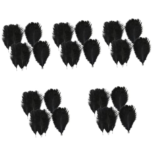 HOMSFOU 5 Sätze Schwarze Straußfedern Für Hochzeits Und Partydekoration Natürliche DIY Federn Für Heimdeko Und Veranstaltungen 20 Stück * 5 HOMSFOU 5 Sätze Schwarze Straußfedern Für Hochzeits Und Partydekoration Natürliche DIY Federn Für Heimdeko Und Veranstaltungen 20 Stück * 5 von HOMSFOU