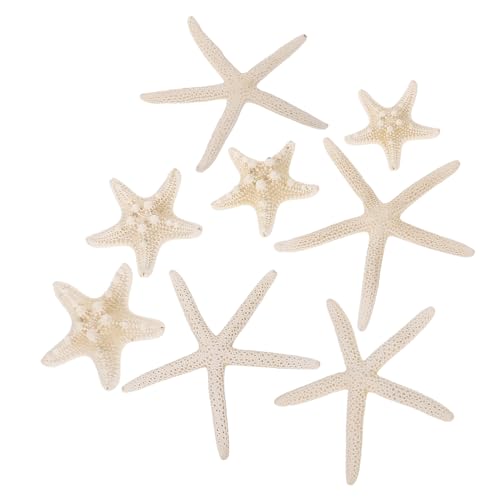 HOMSFOU 8stücke Teiliges Natur- Deko Für -projekte Für Strandhochzeiten Und Kreative Bastelideen Natürliche Farben Langlebig Und Vielseitig Einsetzbar HOMSFOU 8stücke Teiliges Natur- Deko Für -projekte Für Strandhochzeiten Und Kreative Bastelideen Natürliche Farben Langlebig Und Vielseitig Einsetzbar von HOMSFOU